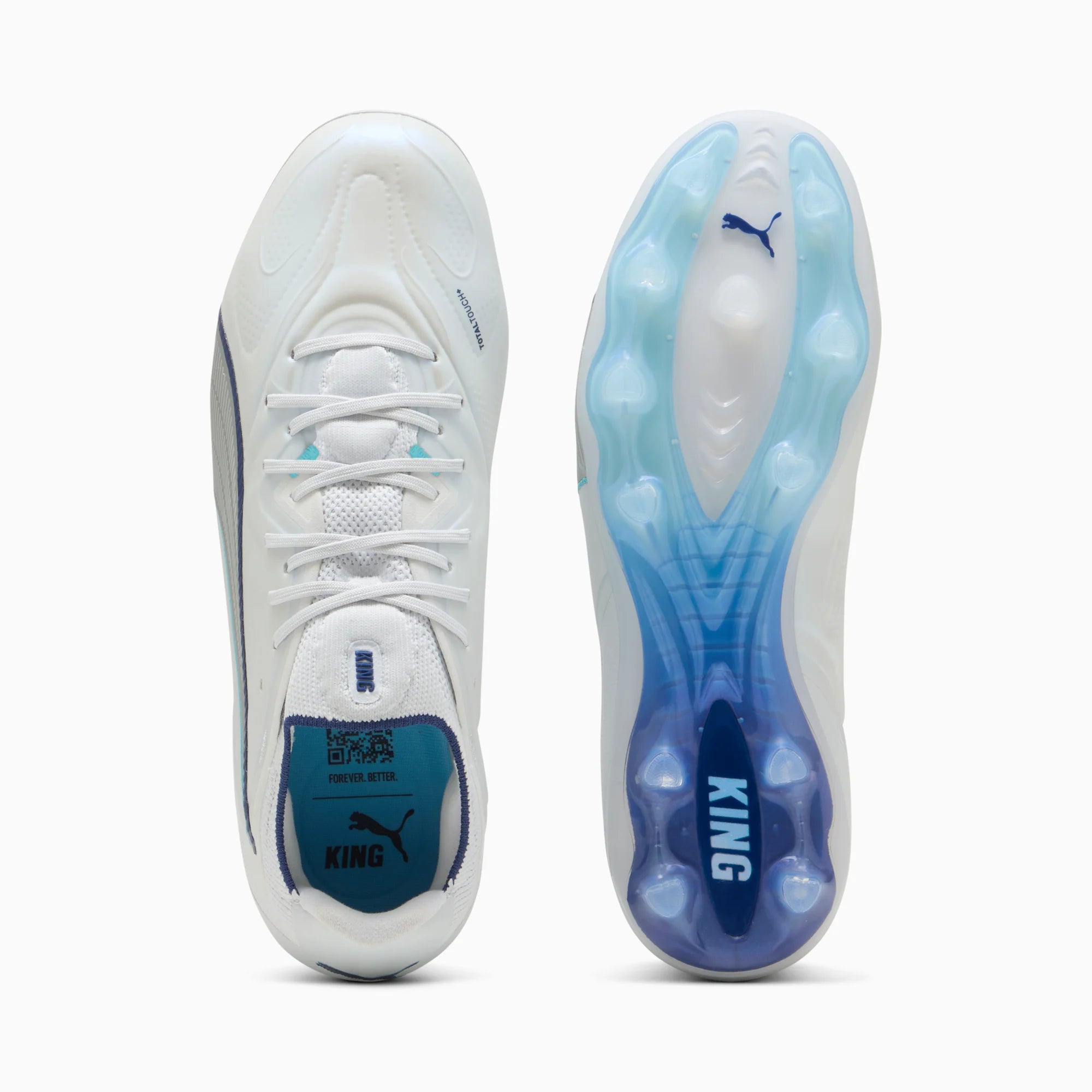 Silver Mist-Blue Jewel-Vibrant Blue