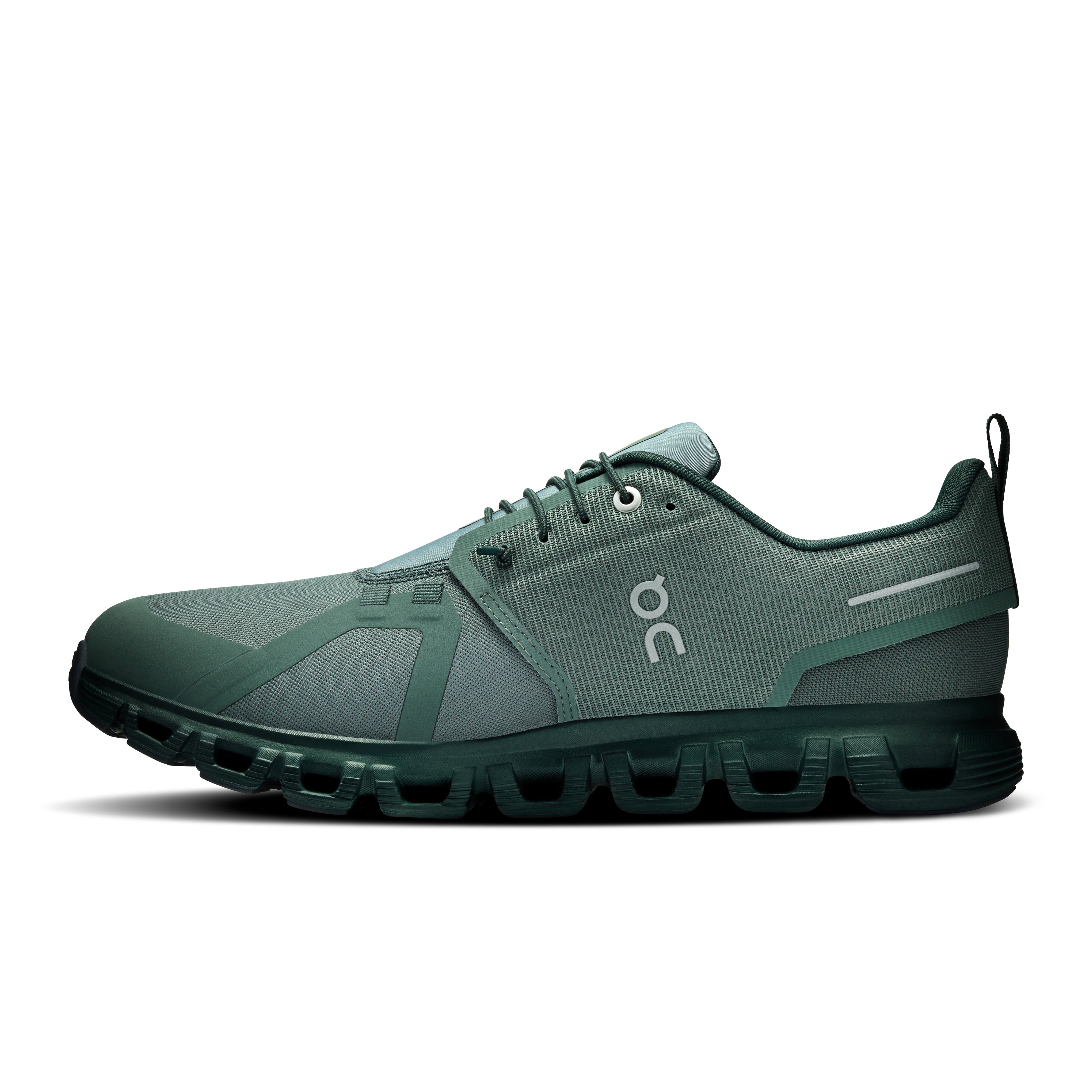 Olive | Evergreen