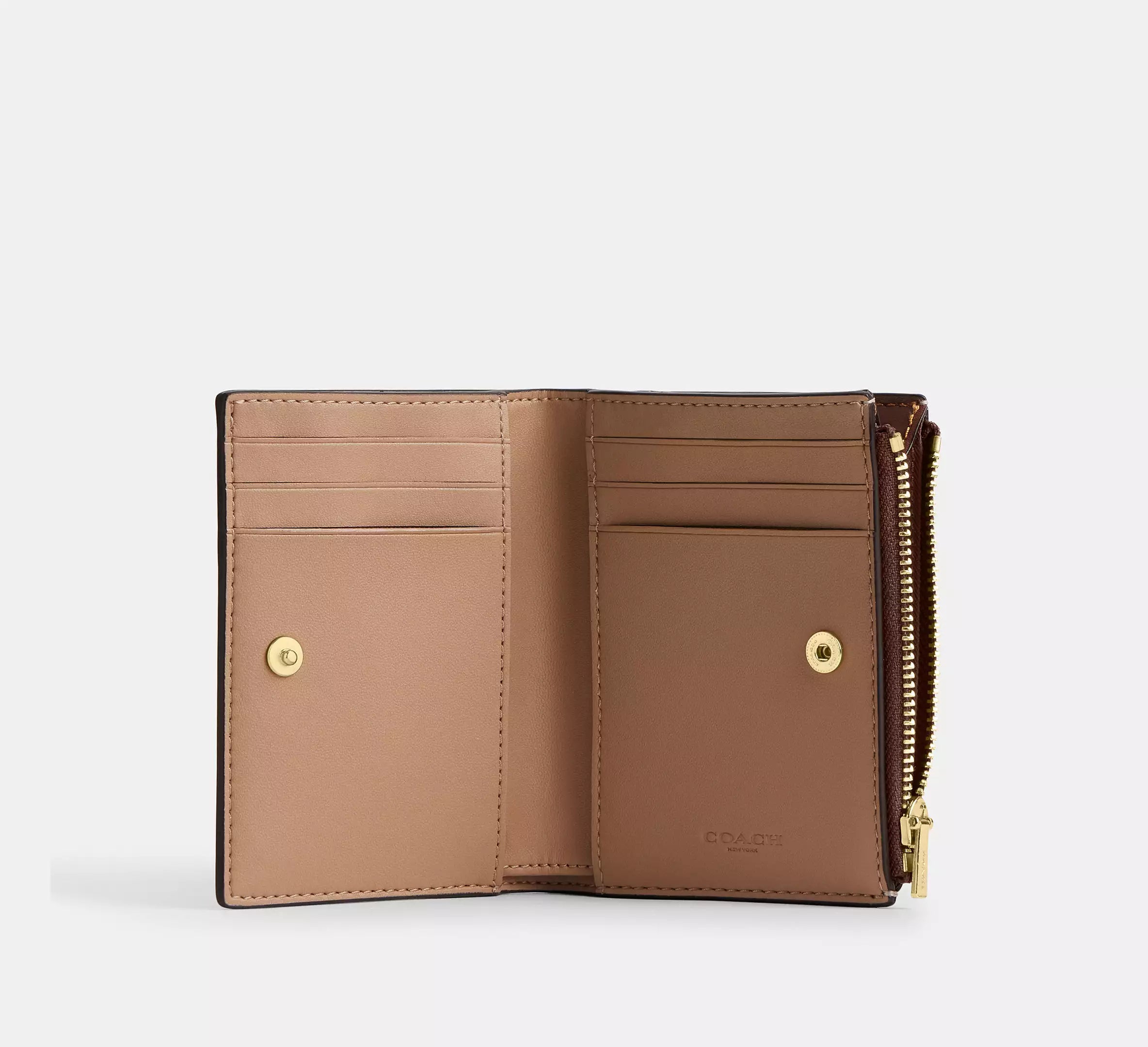 Gold/Tan/Brown