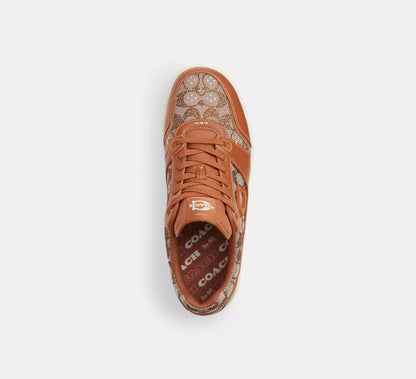 Cocoa/Burnished Amber