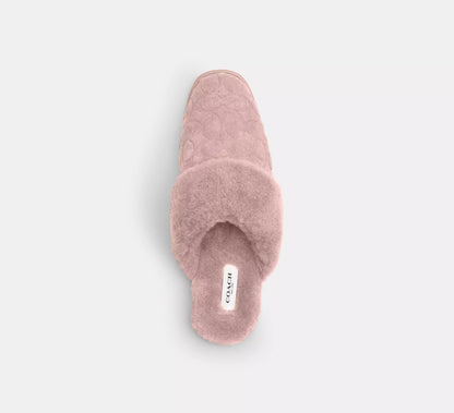 Candy Pink