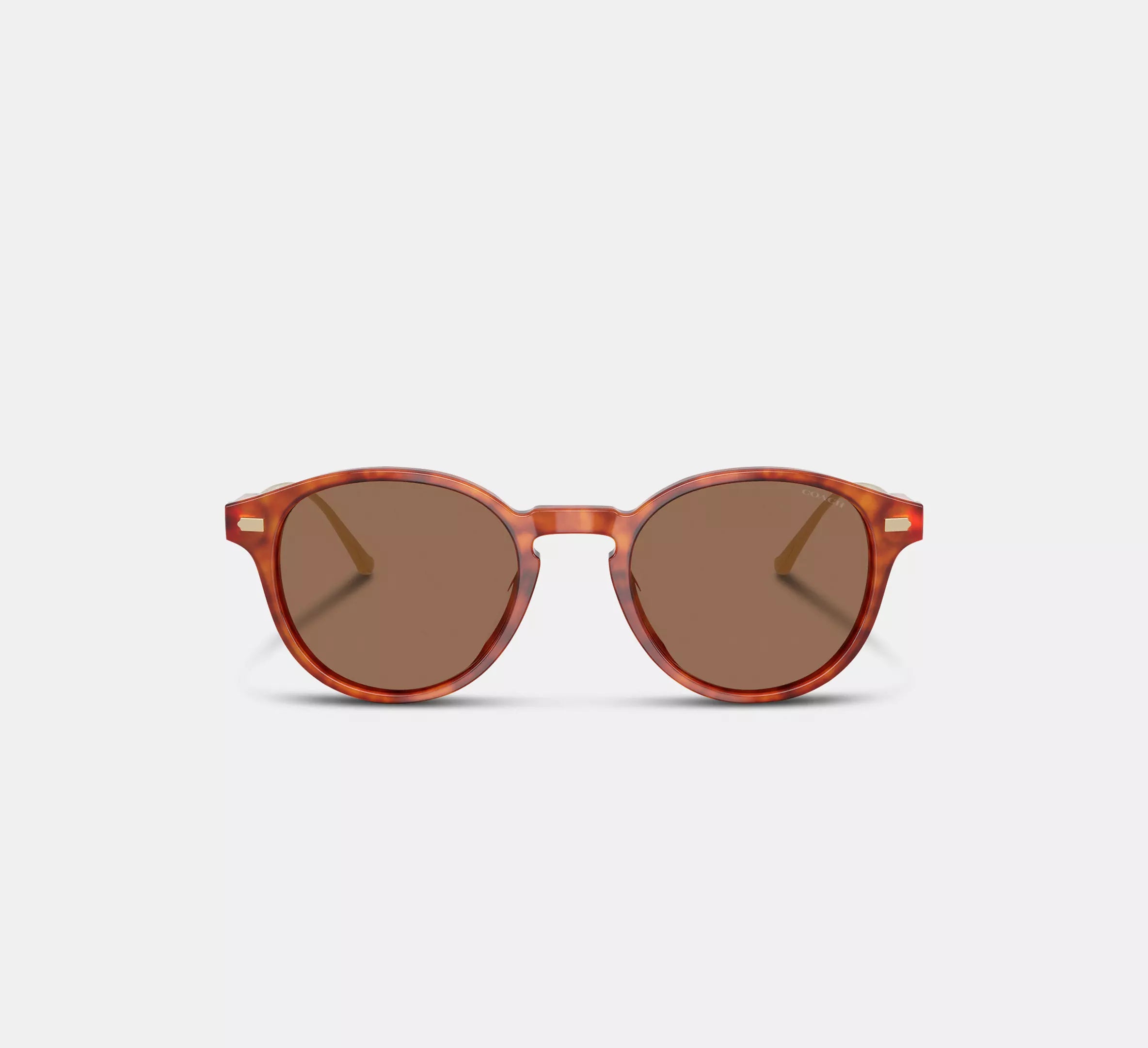 Caramel Tortoise
