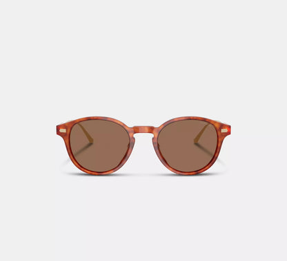 Caramel Tortoise