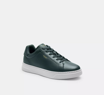Dark Teal