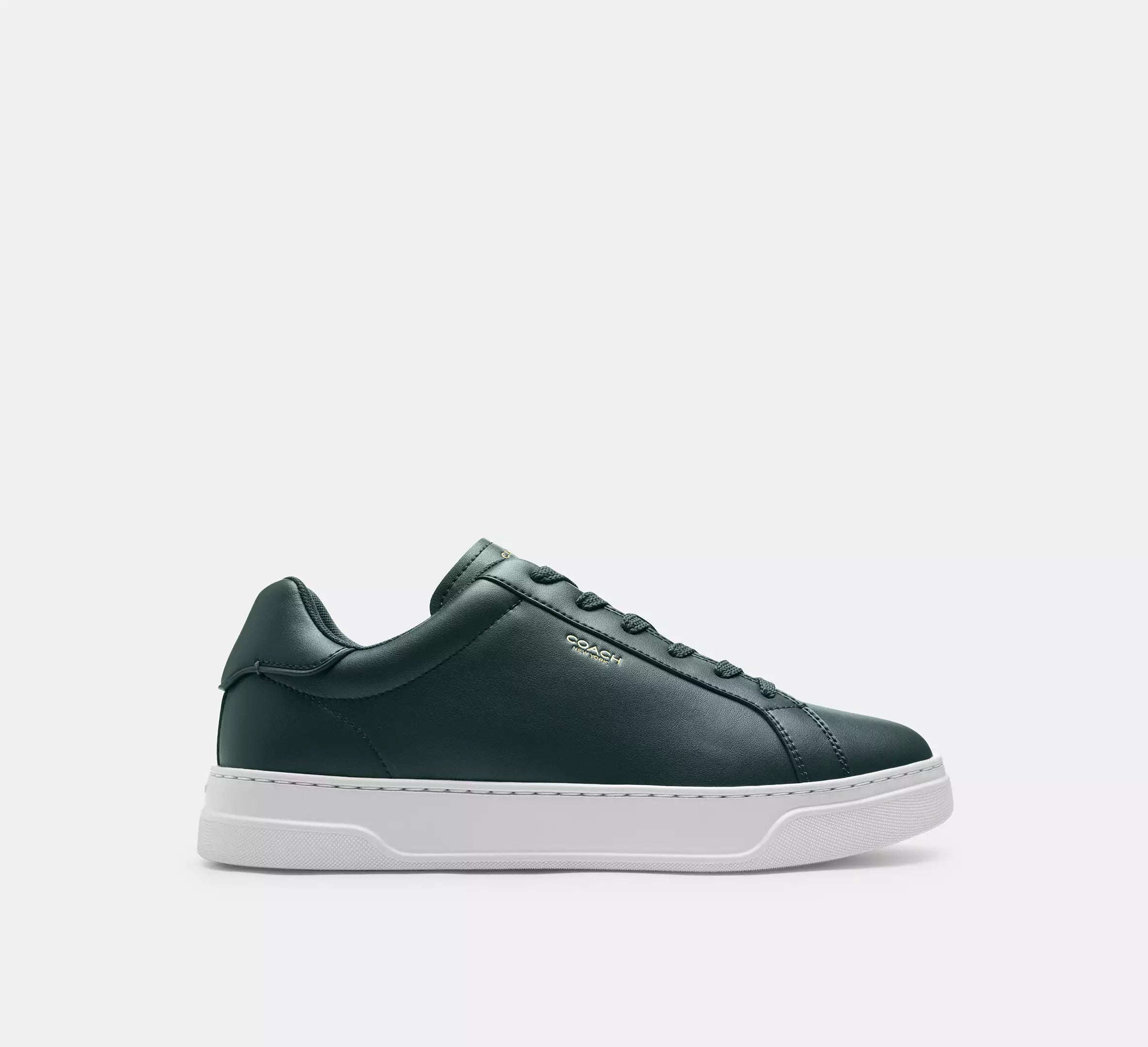 Dark Teal