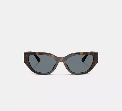 Dark Tortoise