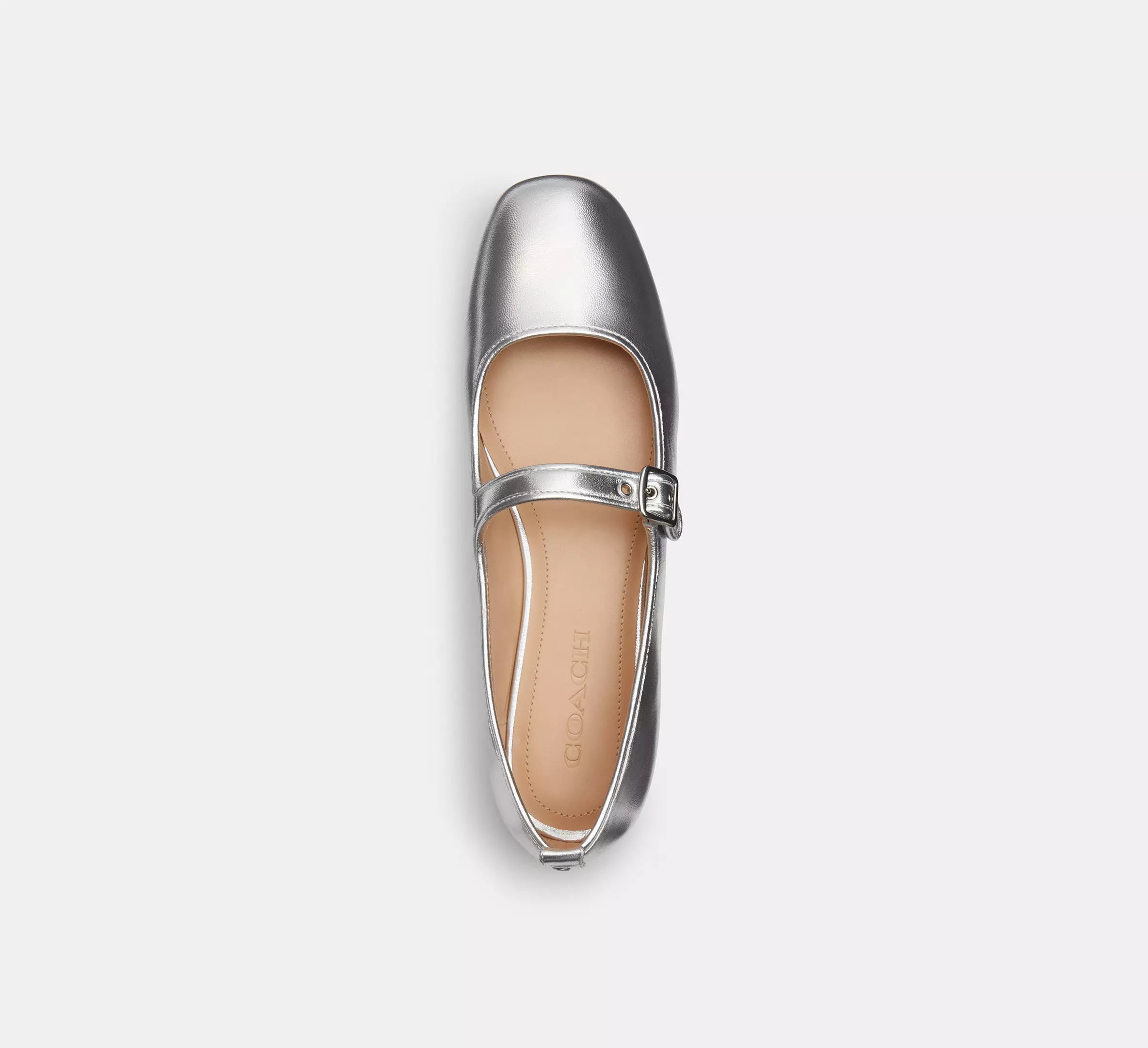 Metallic Silver
