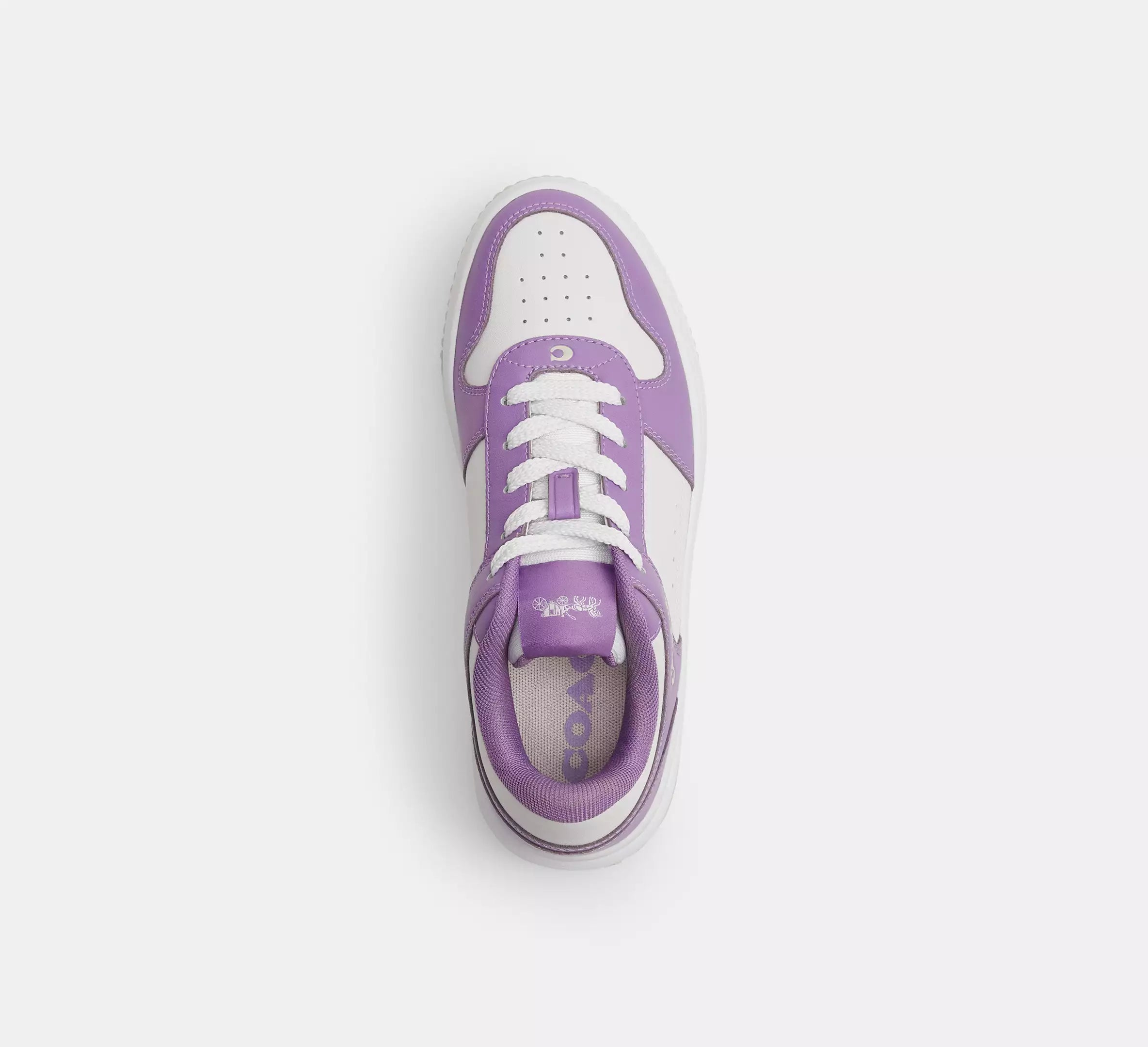 Iris/Optic White