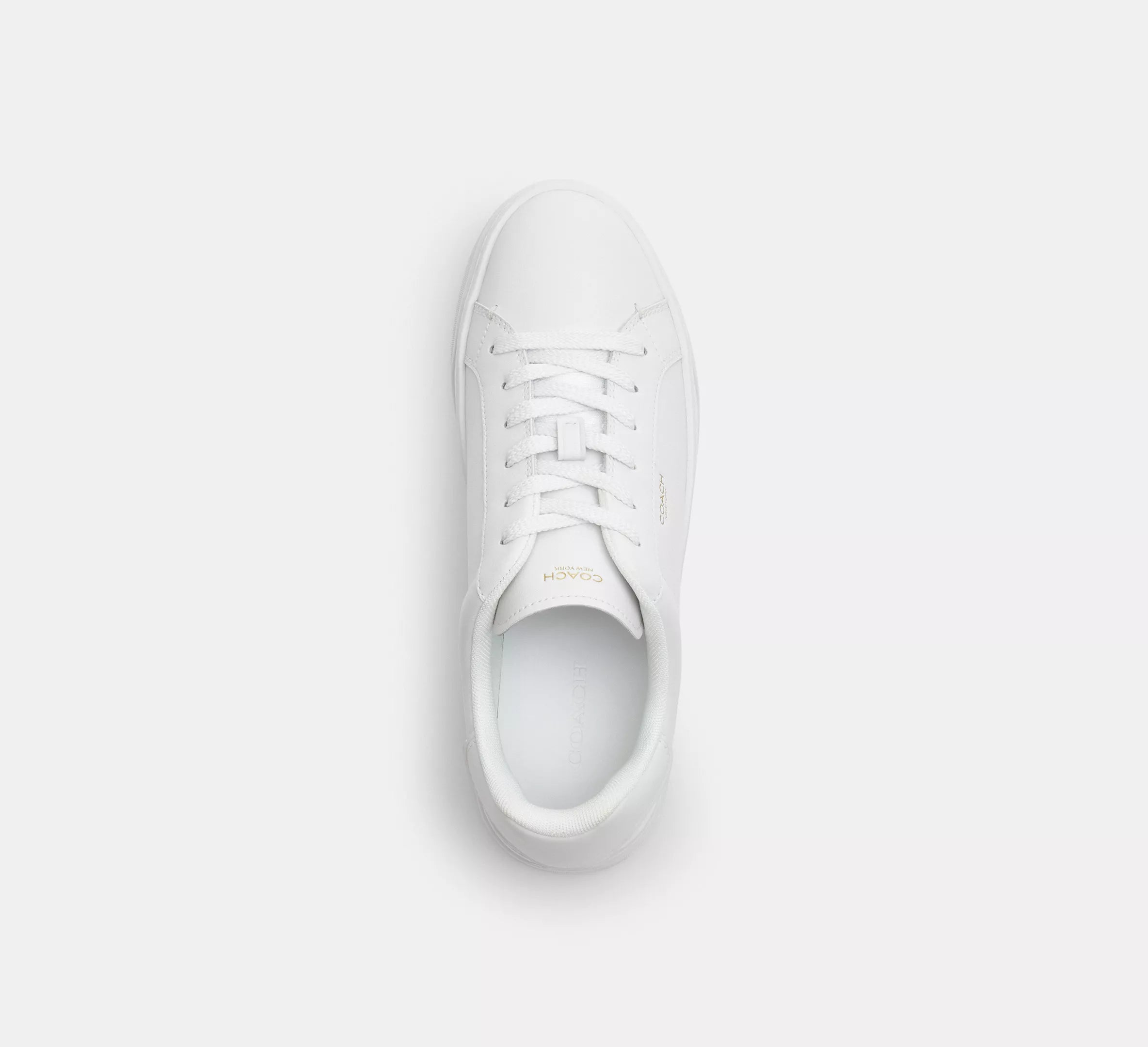 Optic White