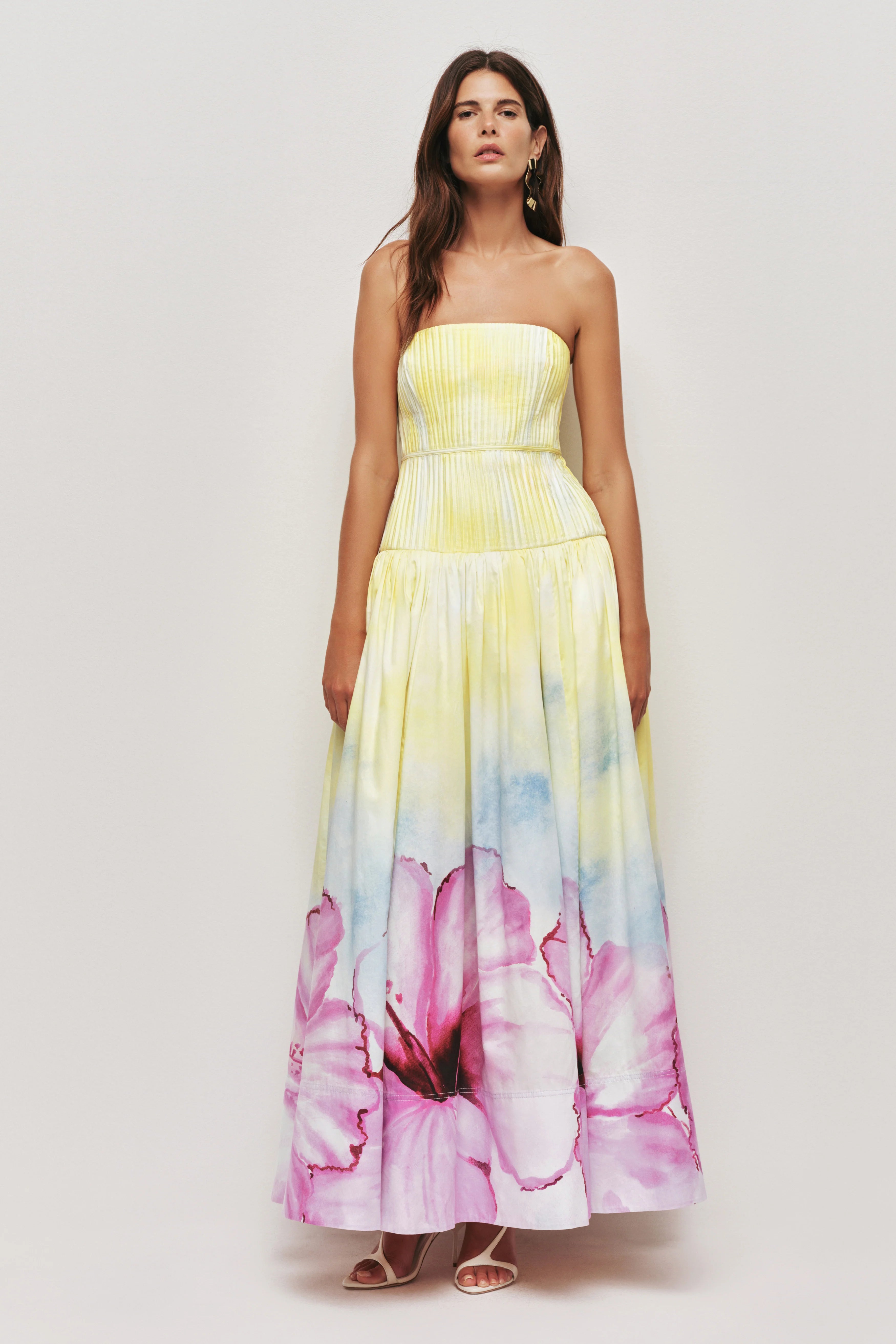 OMBRE HIBISCUS