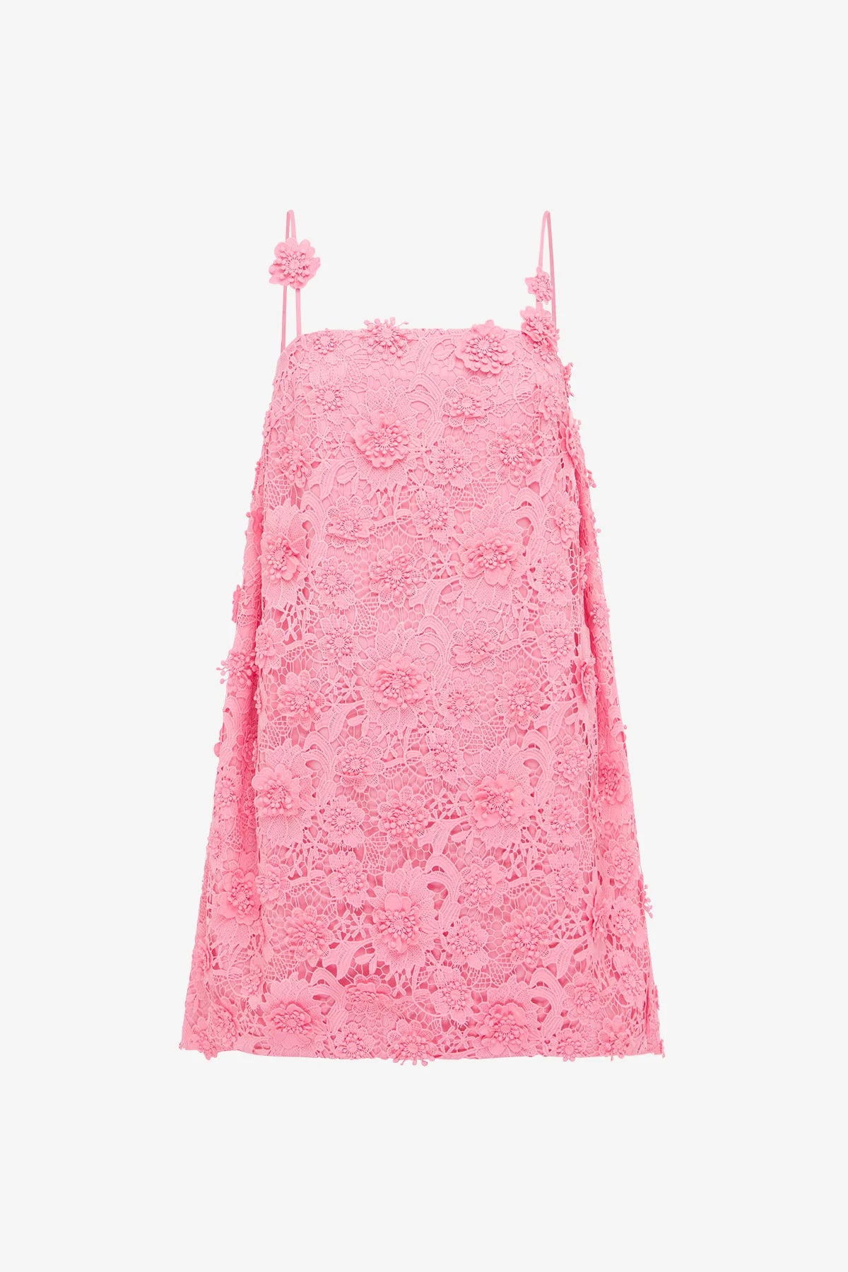 Bubblegum