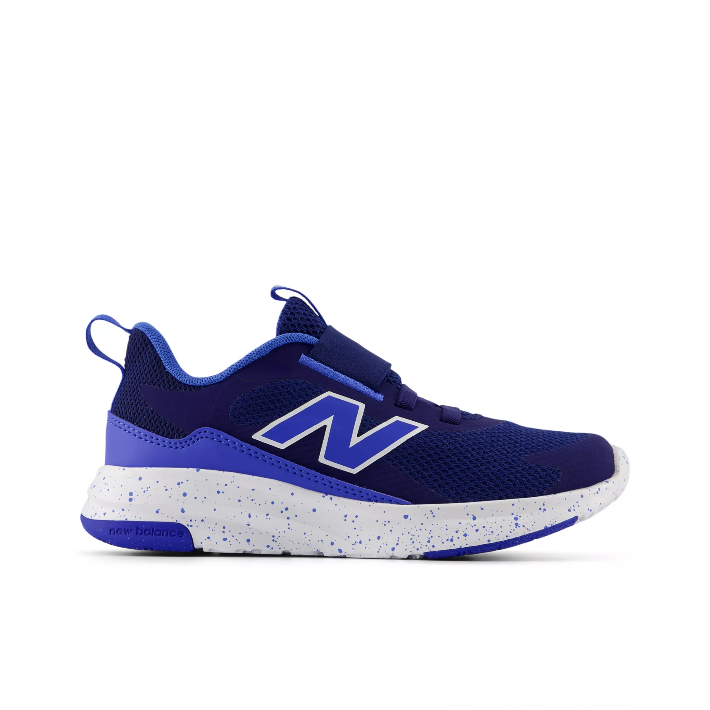 Blue Oyster With Bluebird And Nb White