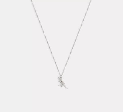 Silver/Clear