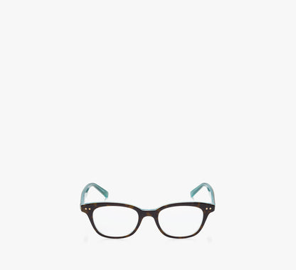 Aqua Tortoise
