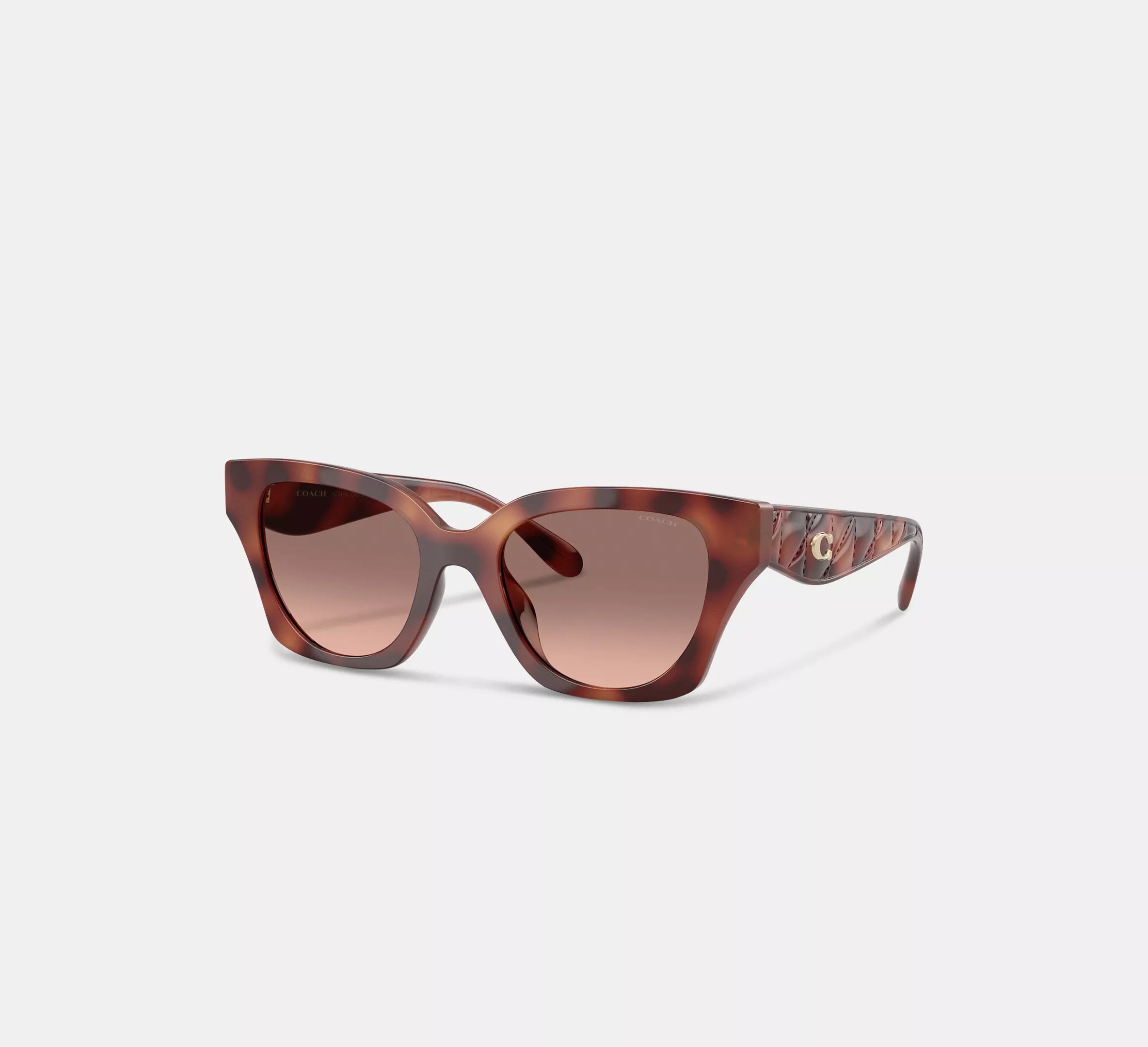 Tortoise Brown