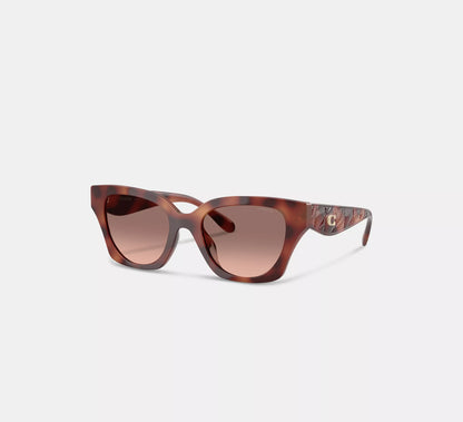 Tortoise Brown
