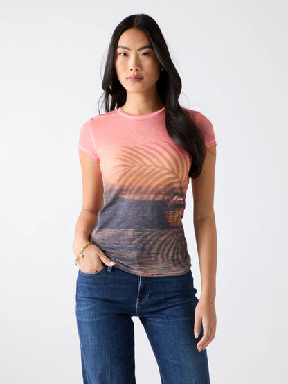 Peach Coral Multi