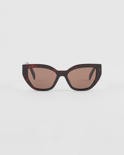 Lentes Marrones