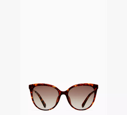 Tortoise Lic