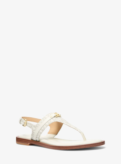 VAN/CREAM