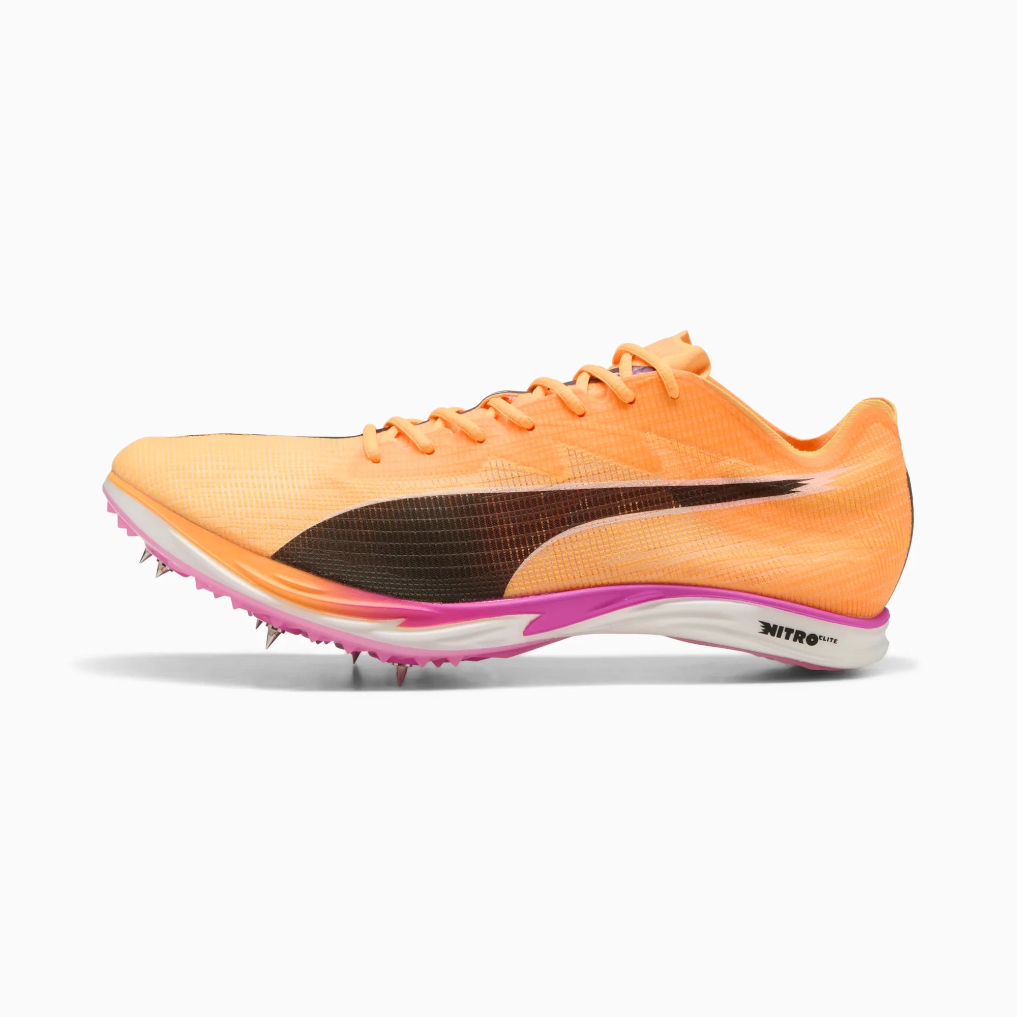 Sun Stream-Pure Magenta-PUMA Black
