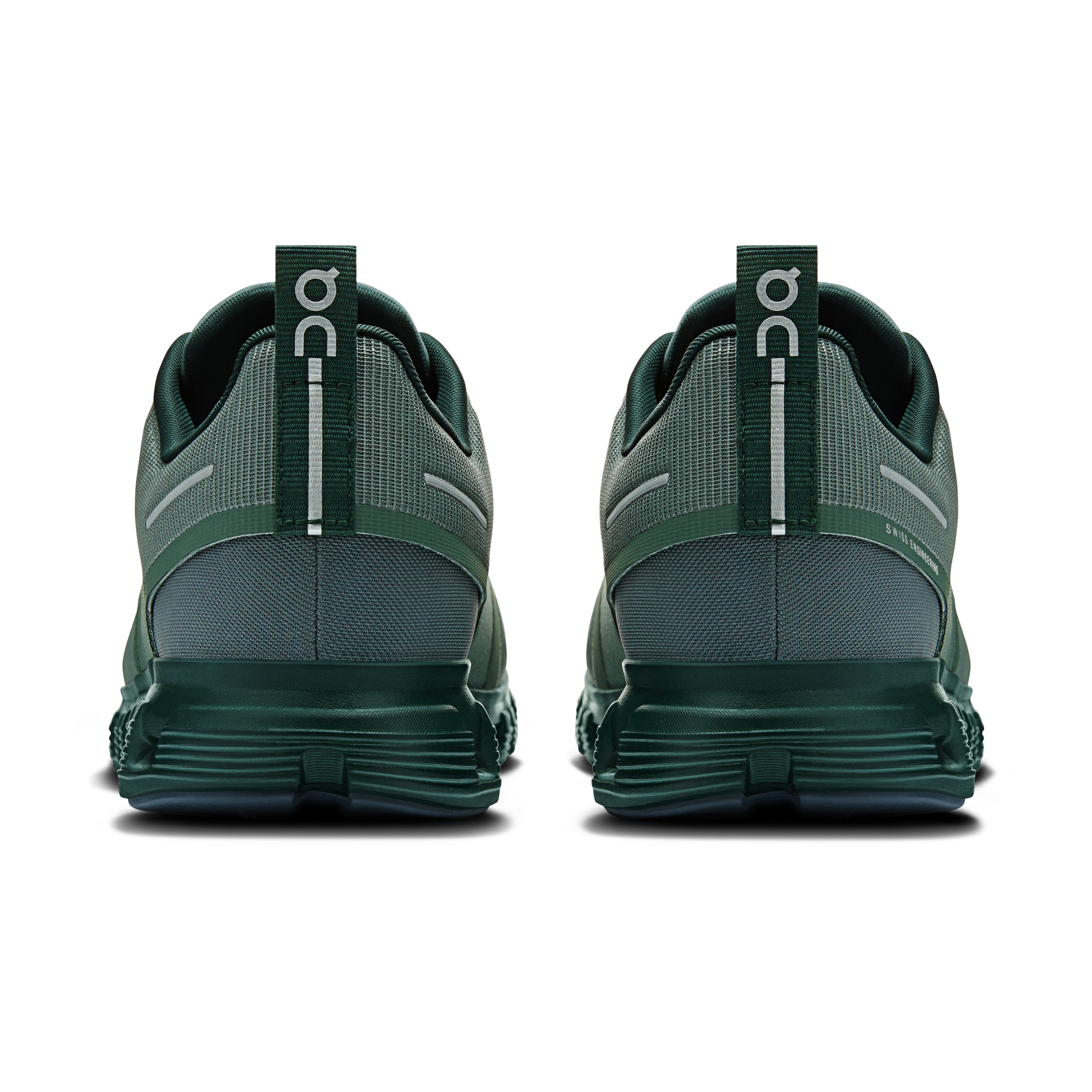 Olive | Evergreen