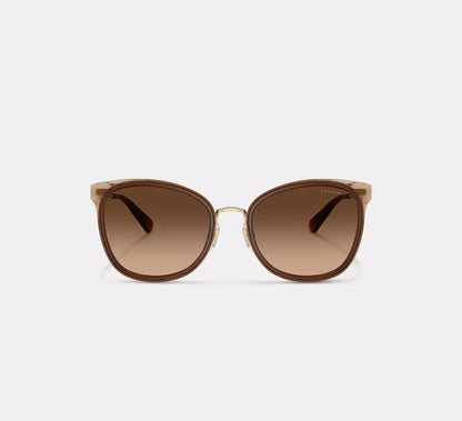 Brown Gradient