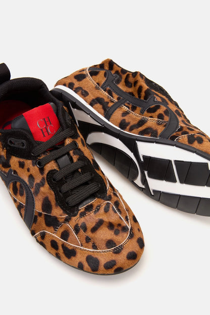 LEOPARDO
