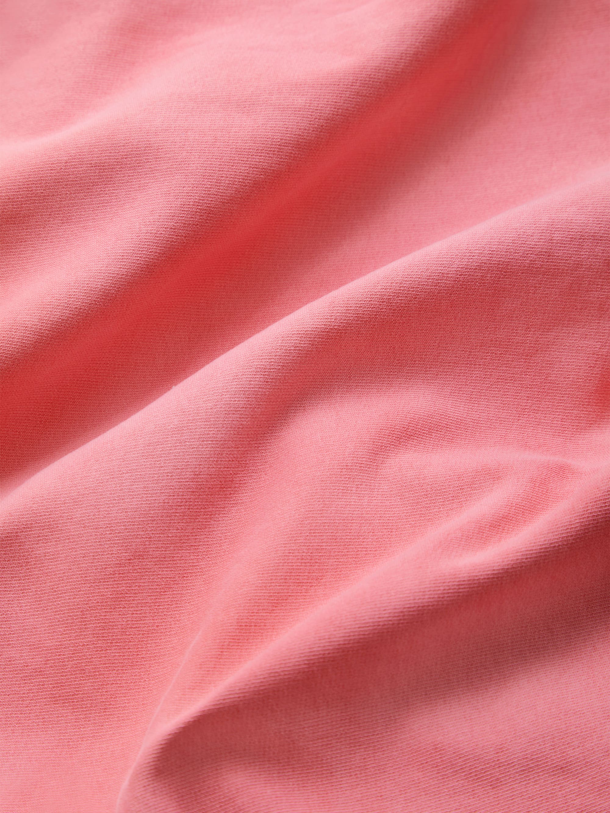 Faded Rose
