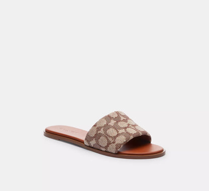 Cocoa/Burnished Amber