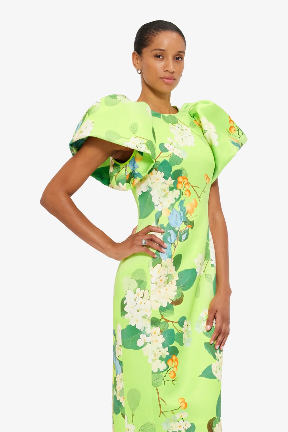 Hydrangea in Lime