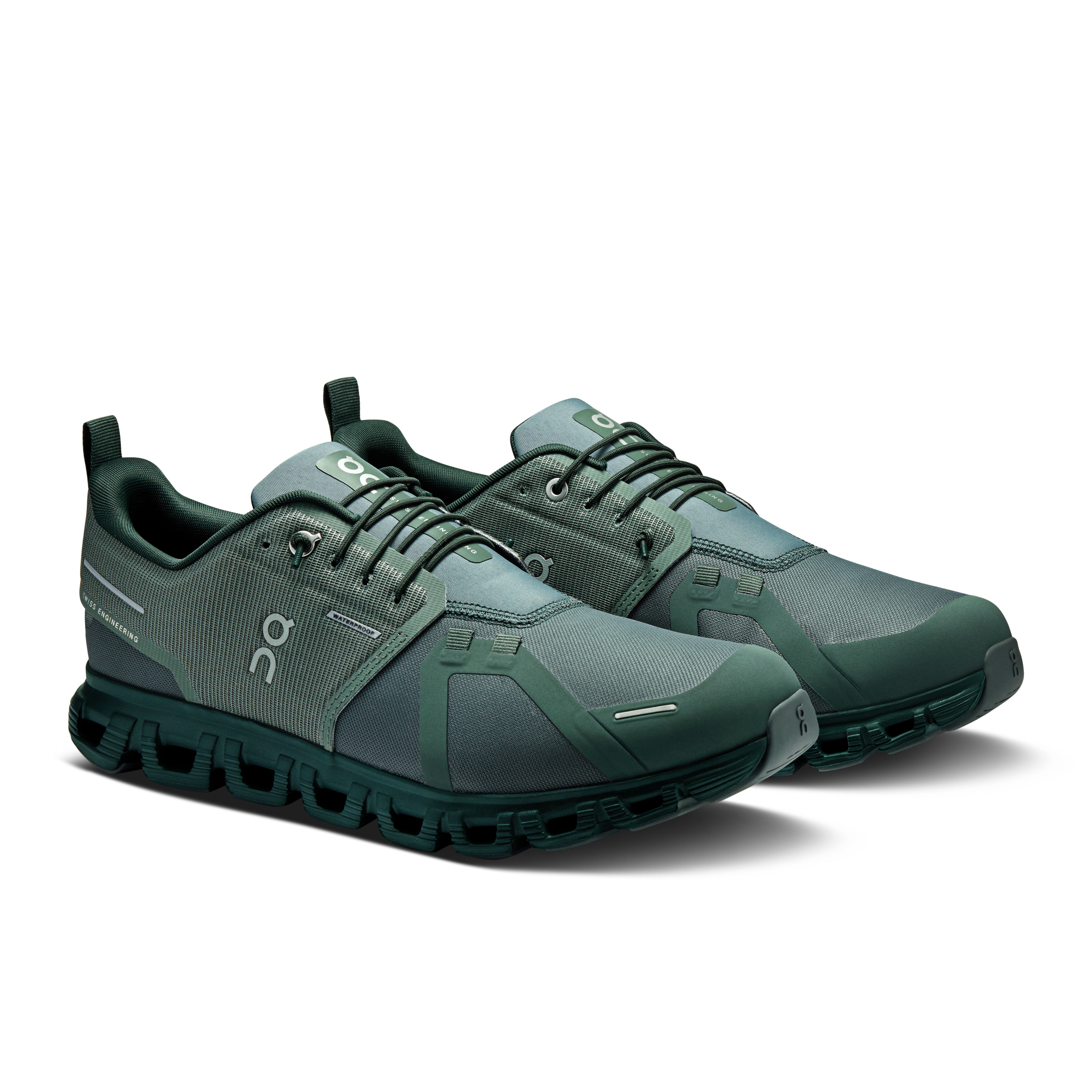 Olive | Evergreen