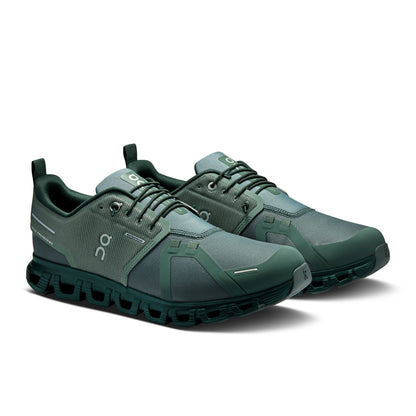 Olive | Evergreen