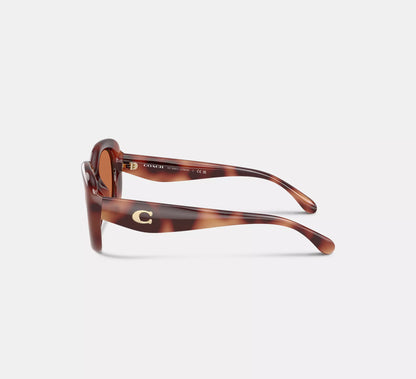 Tortoise Brown