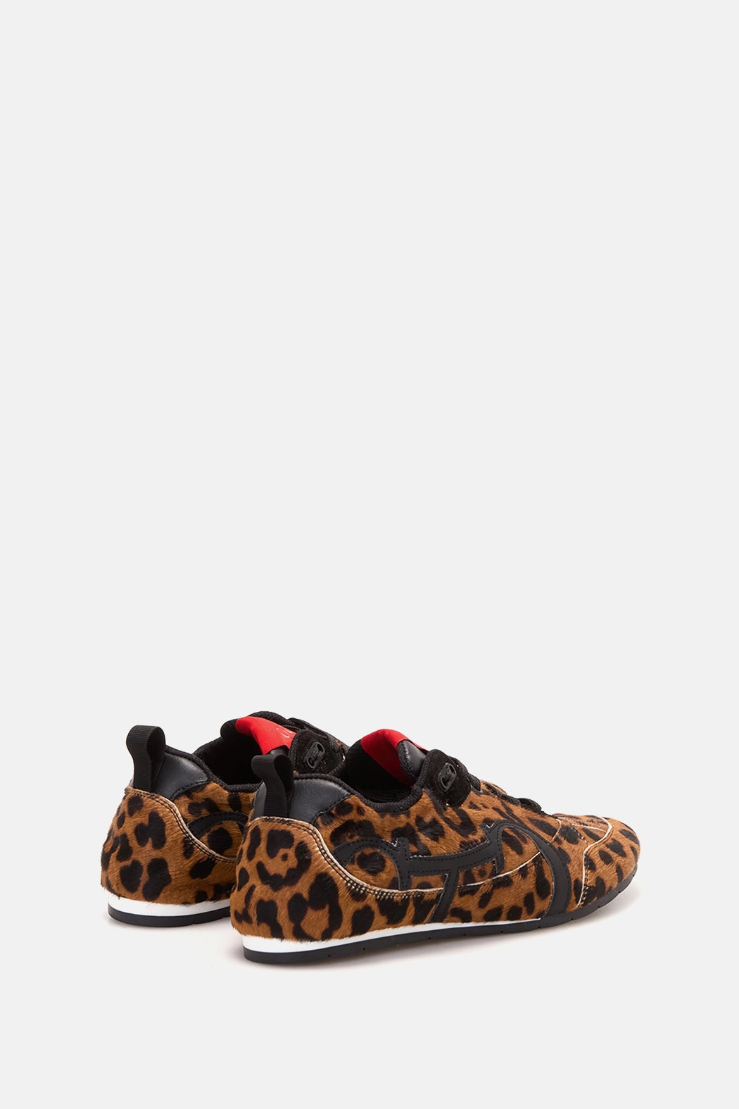 LEOPARDO