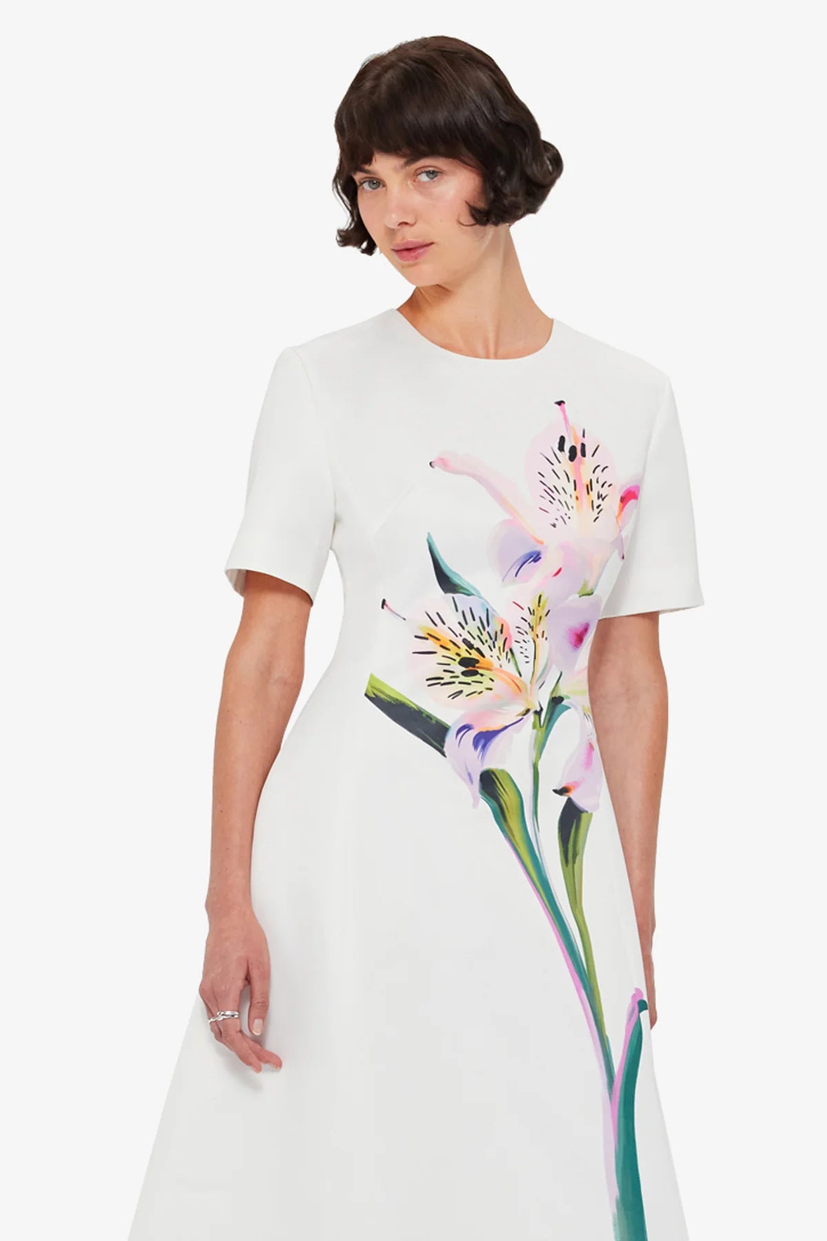 Lily Print in Snow
