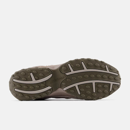 Mushroom With Arid Stone
