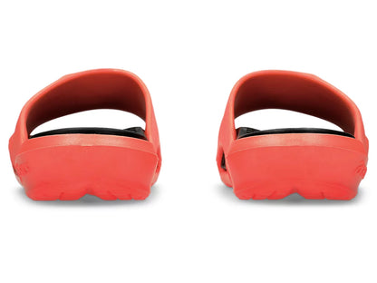 Sunrise Red/Black