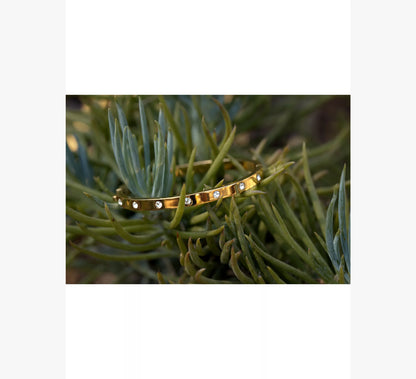 Clear/Gold