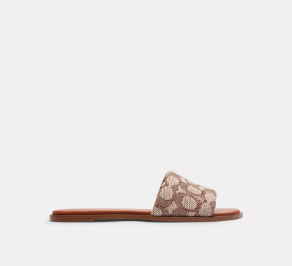 Cocoa/Burnished Amber