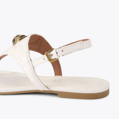 bone