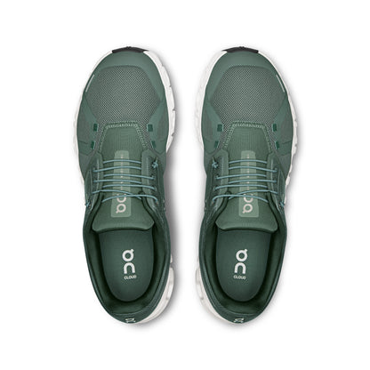 Olive | Evergreen