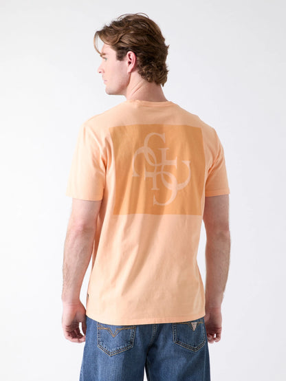 Orange Peach Multi