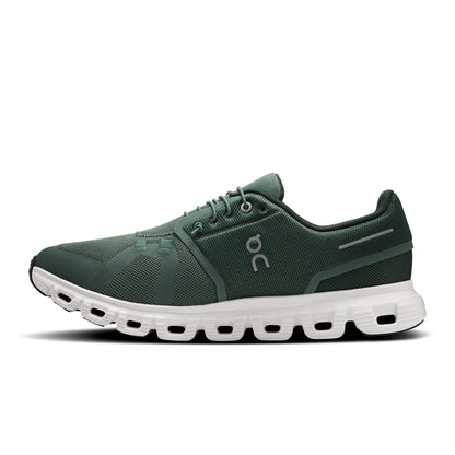 Olive | Evergreen