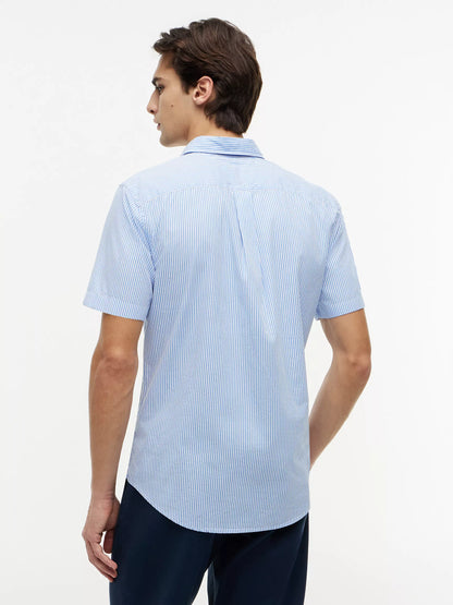 Blue Spell/White Stripe