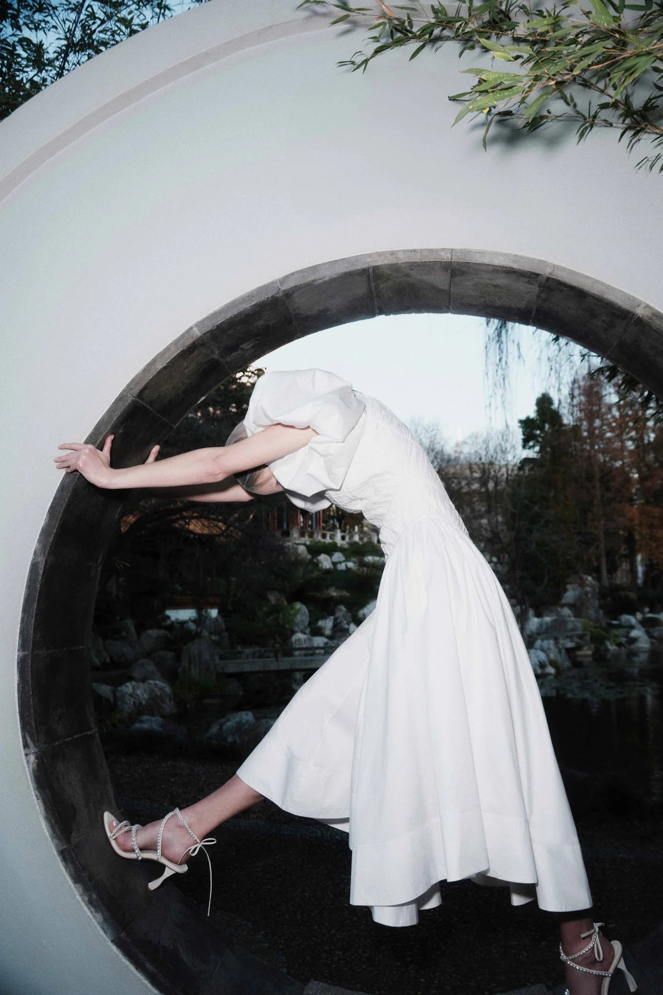 IVORY