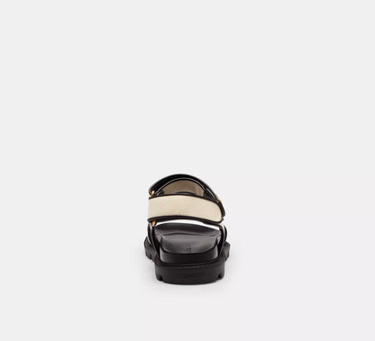Chalk & Black