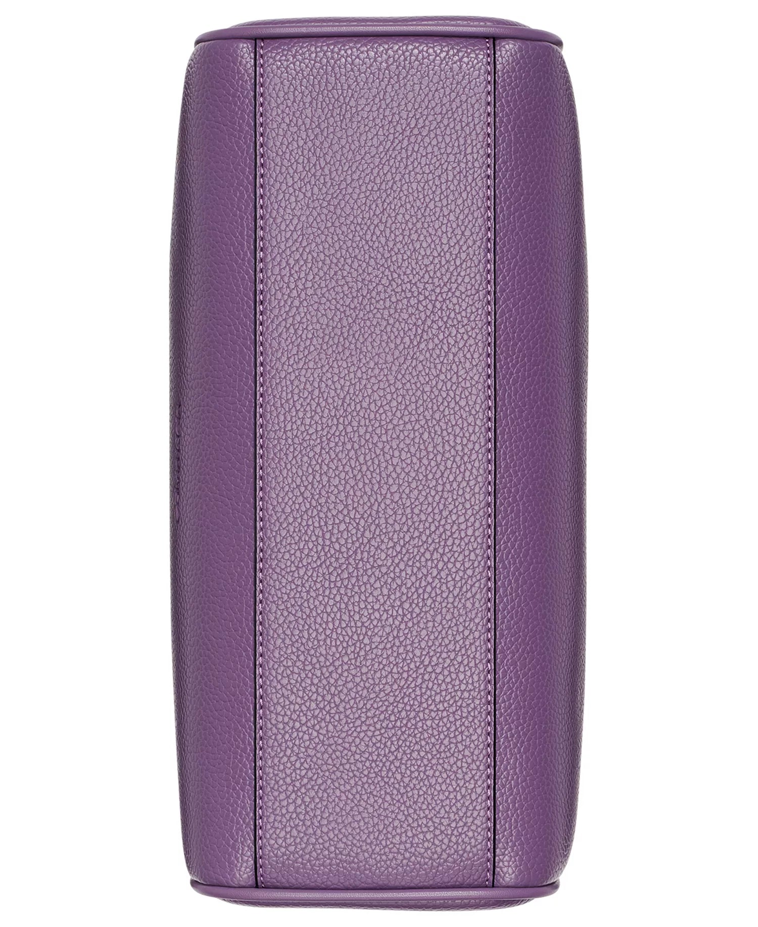 Winter Plum