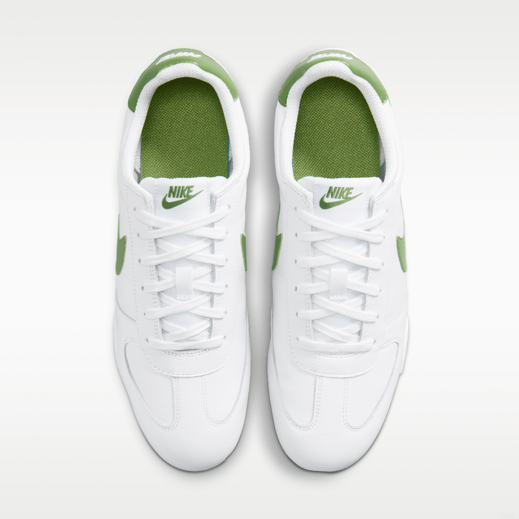 White/Chlorophyll