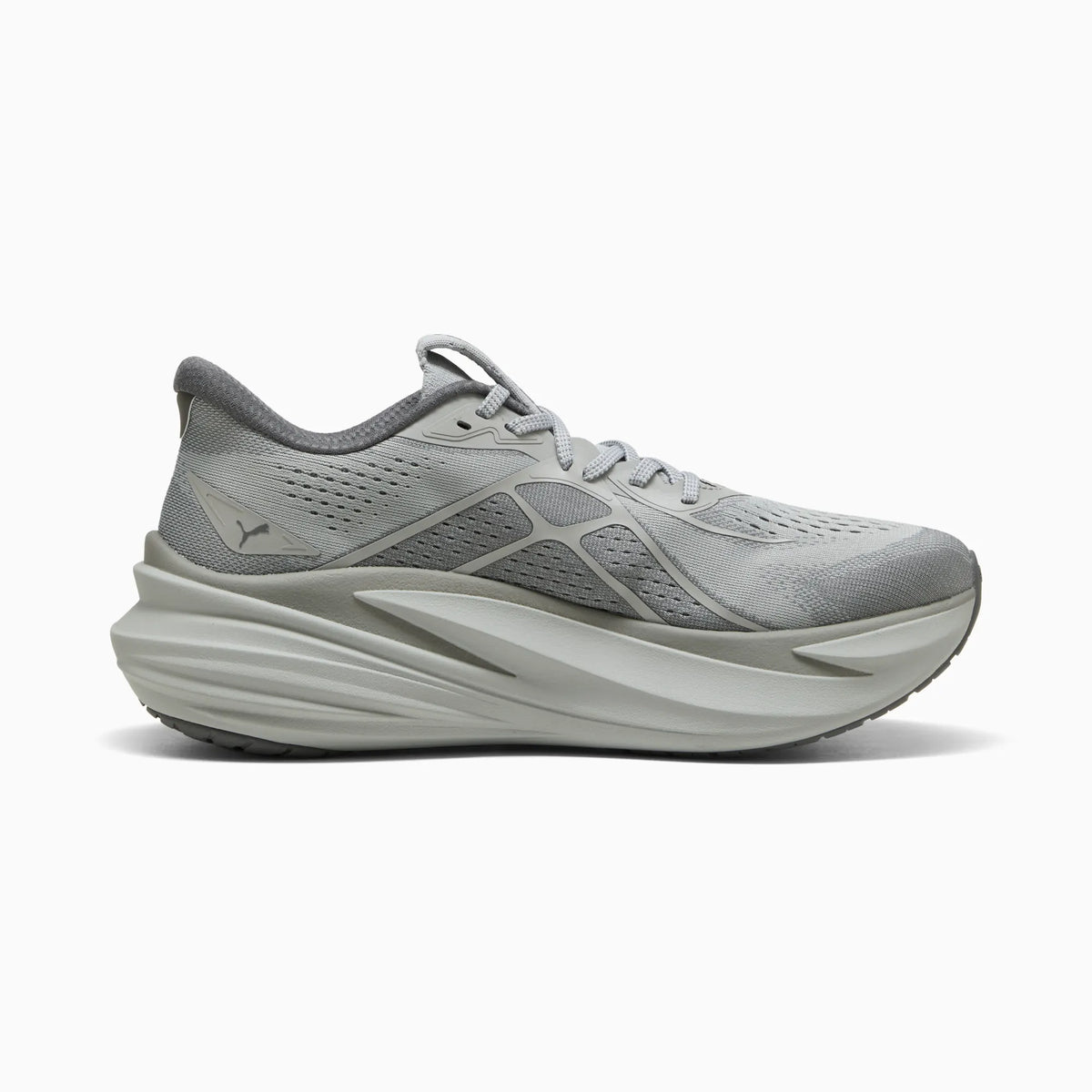 Gray Echo